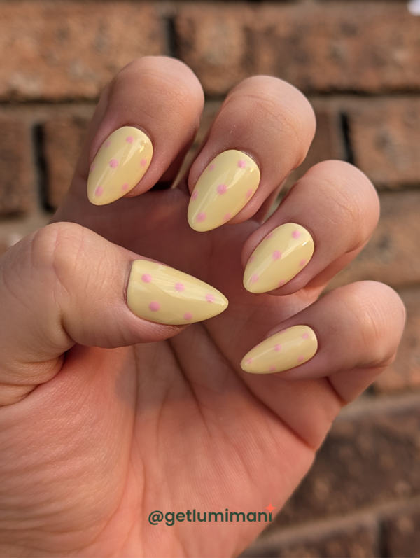 Dotty 2 Dotty