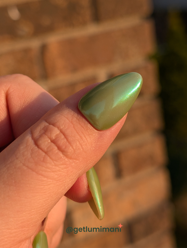 First Leaf