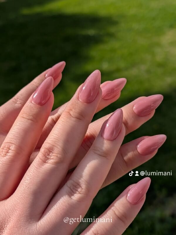 Perfect Everyday Jelly